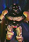ravage.jpg (11481 bytes)