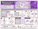 Energon - Insecticon - Instructions