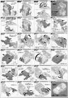 Takara - United - UN-15 Autobot Perceptor - Instructions