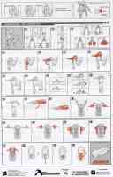 Hunt for the Decepticons - Human Alliance Shadow Blade Sideswipe with Micaela Banes - Instructions