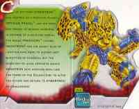 Beast Wars 10th - Cheetor, w/ "Equal Measures" DVD & Transmutate upper torso - Package art