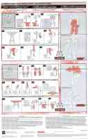 Energon - Cliffjumper - Instructions