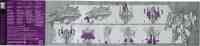 Generations - Skywarp - Instructions