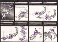 Beast Wars - Scorponok - Instructions