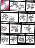 Timelines - Arcee - Instructions