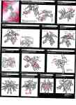 Timelines - Arcee - Instructions