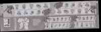 Timelines - Botcon 2016 Boxed Set (Tripredacus Agent Ravage, Tarantulas, Ramhorn, Cicadacon, Seaclamp) - Instructions