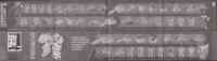 Timelines - Botcon 2016 Boxed Set (Tripredacus Agent Ravage, Tarantulas, Ramhorn, Cicadacon, Seaclamp) - Instructions
