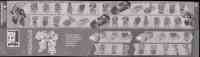 Timelines - Botcon 2016 Boxed Set (Tripredacus Agent Ravage, Tarantulas, Ramhorn, Cicadacon, Seaclamp) - Instructions