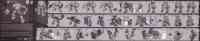 Studio Series - 60 Scrapper - Instructions